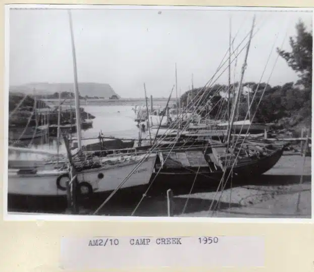 Camp Creek in 1950